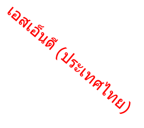 เอสเอ็นดี (ประเทศไทย)