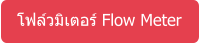 โฟล์วมิเตอร์ Flow Meter